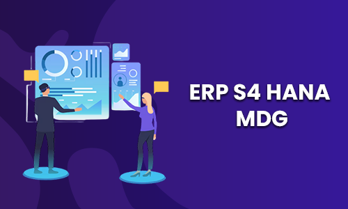sap mdg training in chennai