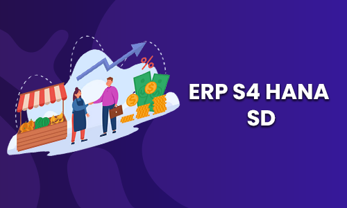 sap sd training in chennai