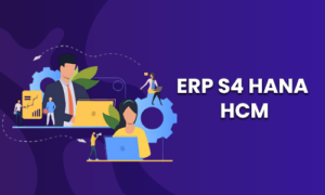 sap hcm training inb chennai