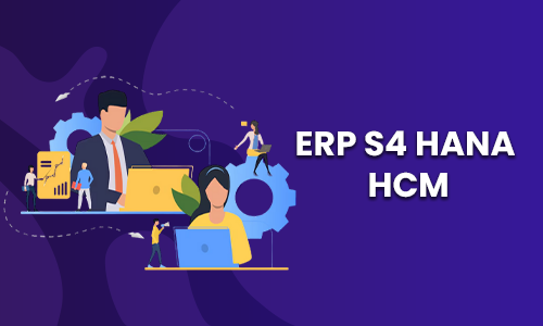 sap hcm training inb chennai